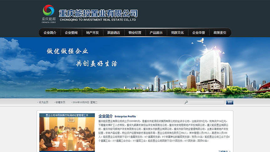 能投置业网站截图
